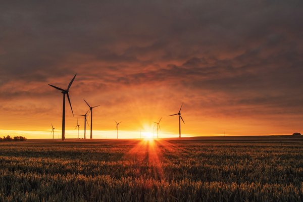 Quels outils utiliser pour exceller en gestion des projets de construction en environnement aride?