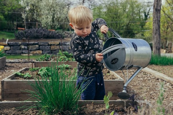 Quels sont les impacts des pesticides sur la biodiversité des sols?