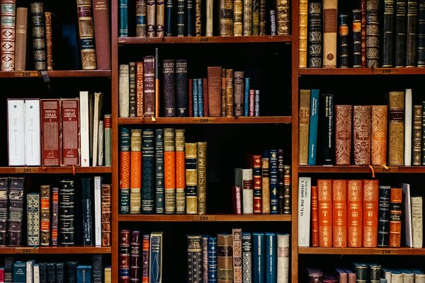 Comment les bibliothèques peuvent-elles proposer des ressources pour l'apprentissage de nouvelles compétences numériques ?